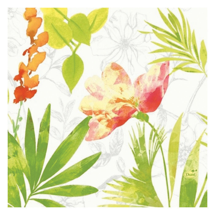 SERV 3P 33X33 SUMMER RGE X50