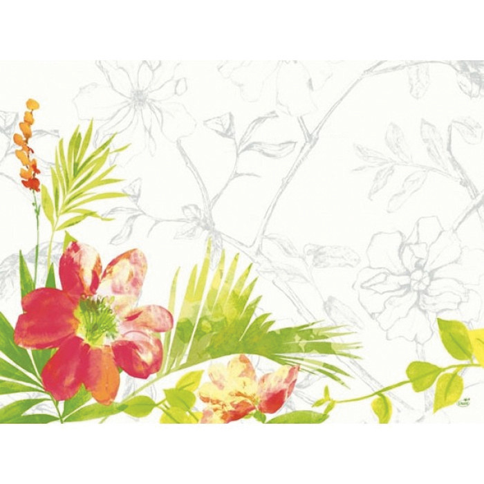 SET PAP 30X40 SUMMER RGE X250