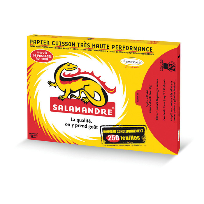 PAPIER SALAMANDRE 40X60CM X250