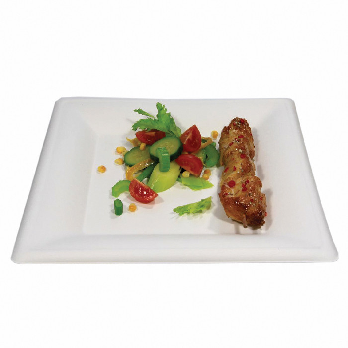 ASS FIBRE CARRE 26CM BCLX40