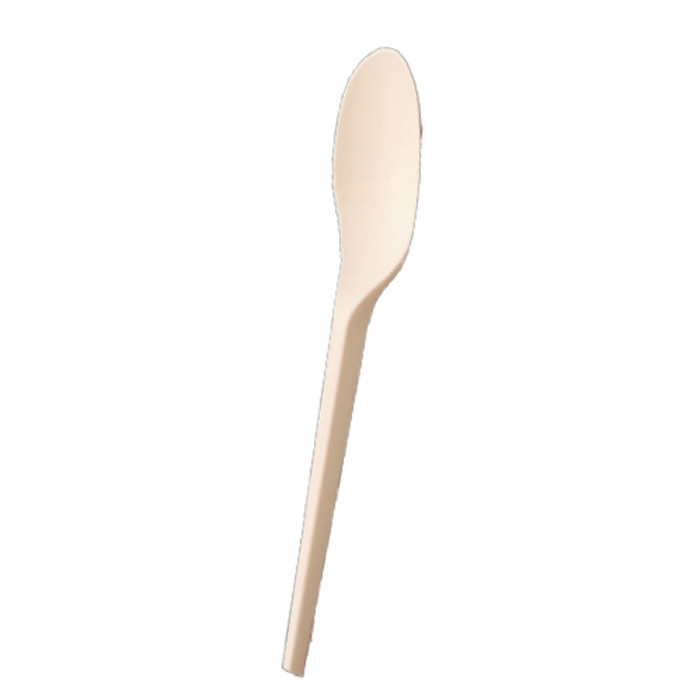 CUILLERE CPLA 190MM BLC X50