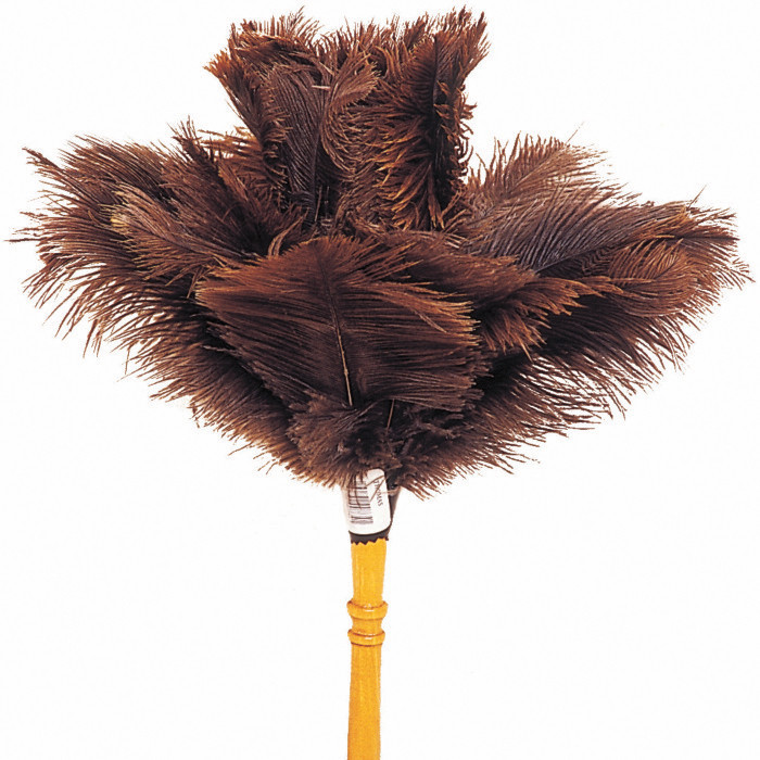 PLUMEAU D'AUTRUCHE