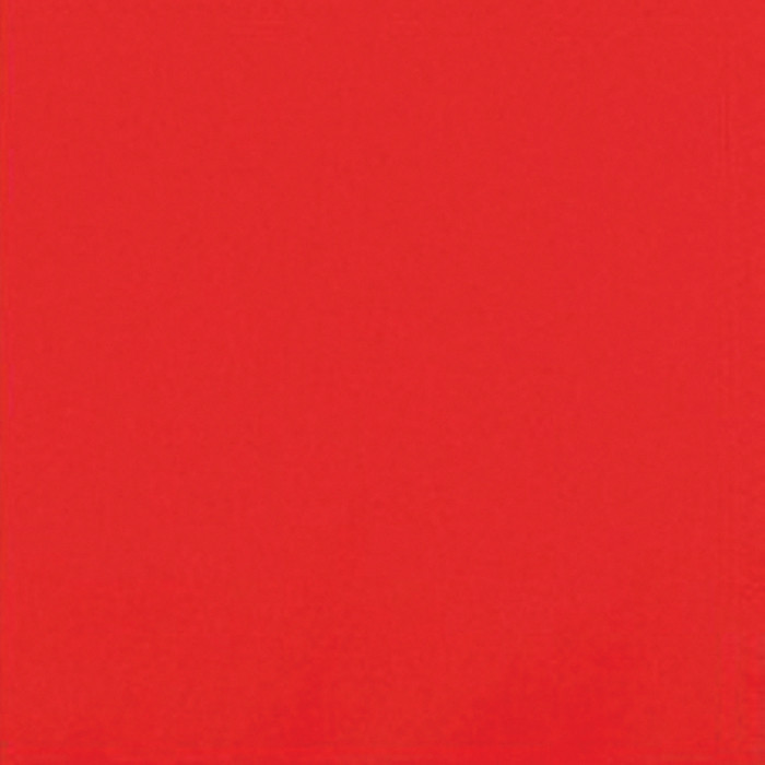 SERV 2P 30X30 ROUGE X200