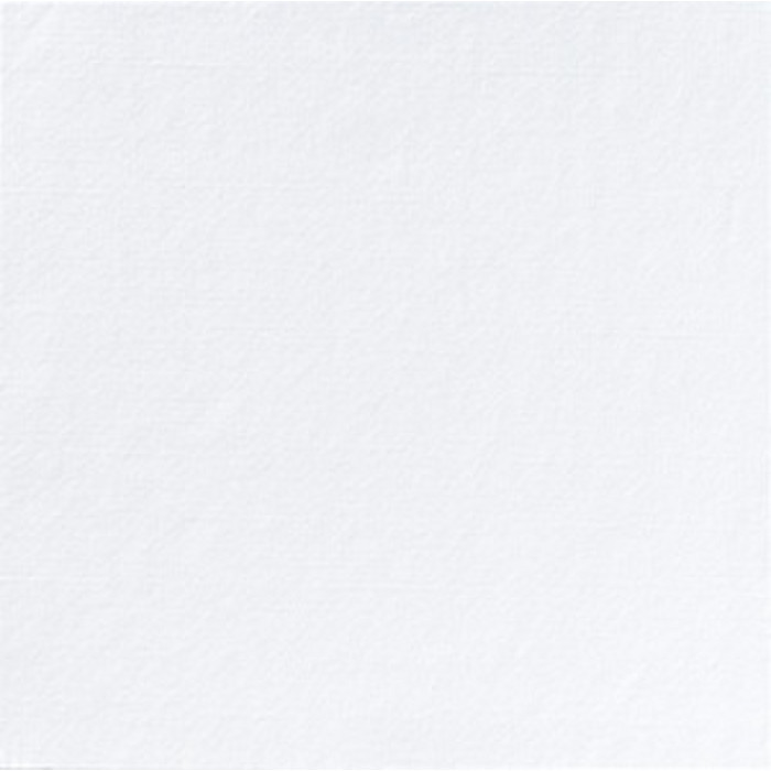 SERV 3P 40X40 BLANC X125