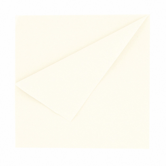 SERV AIRLAID 40X40 BLANC X50