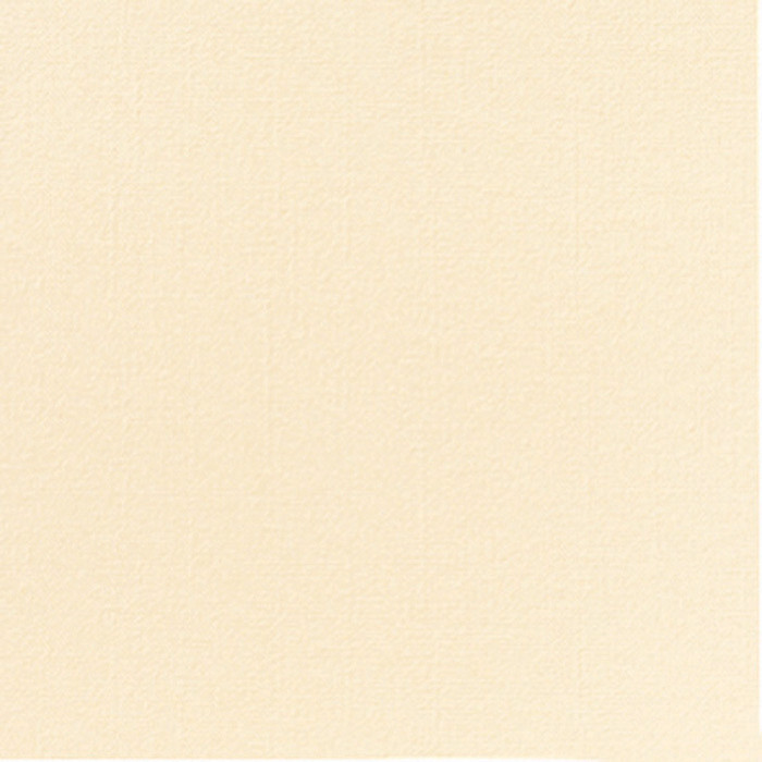 SERV DUNISOFT 40X40 CREME X60
