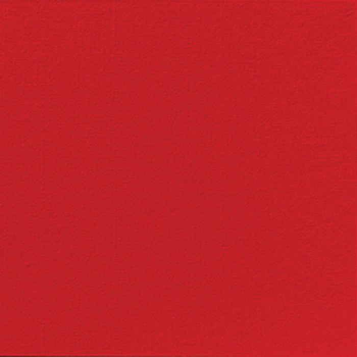 SERV DUNISOFT 40X40 ROUGE X60