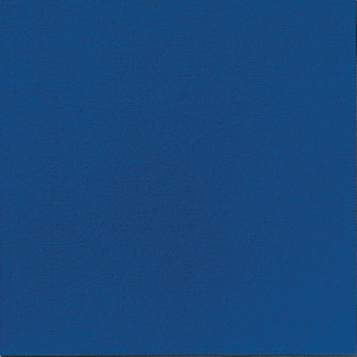 SERV DUNISOFT 40X40 BLEU X60