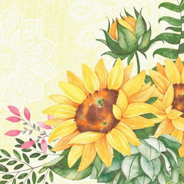 SERV 4P 40X40 SUNFLOWER X50