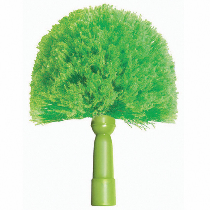 TETE DE LOUP RONDE VERTE