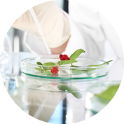 CONCEPT - HYGIENE CORPO